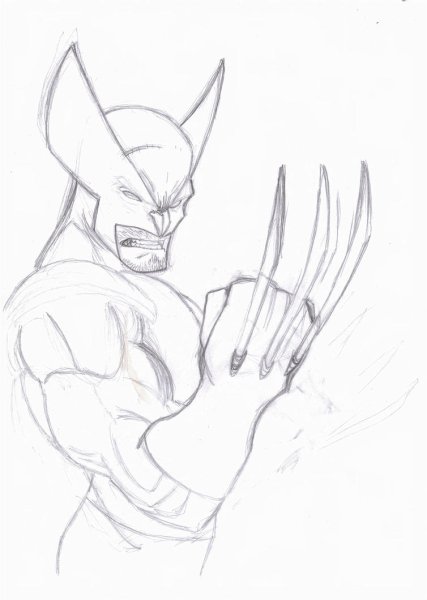 Росомаха карандашом