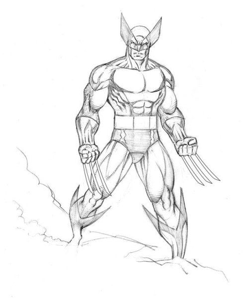 Росомаха для срисовки