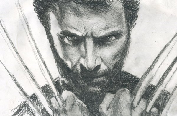 Росомаха карандашом