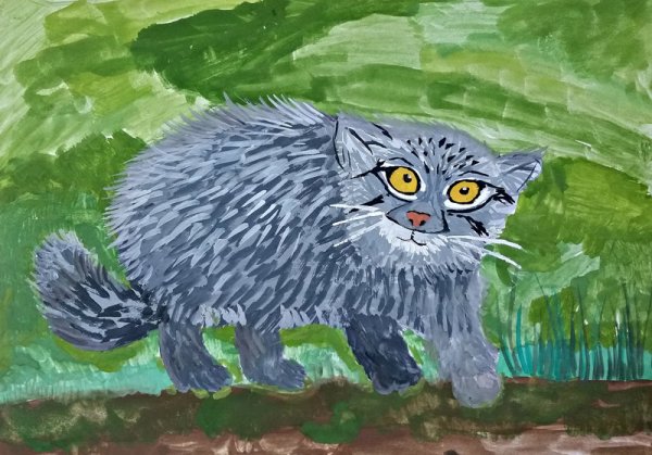 Манул рисунок гуашью