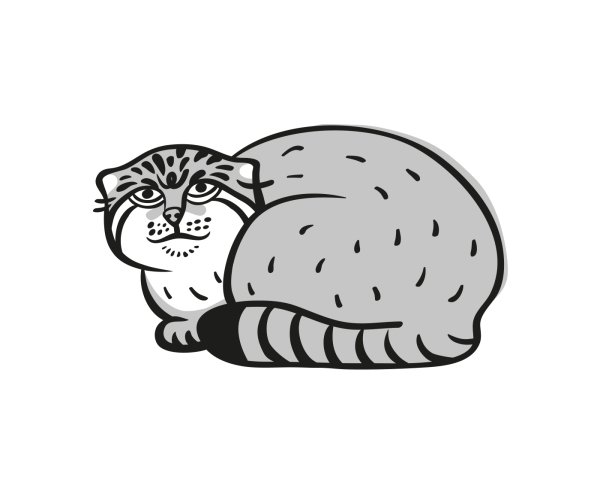 Манул рисунок карандашом для детей