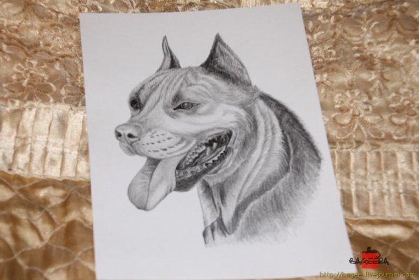 Рисование чернографитными карандашами