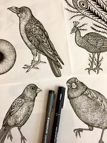 Необычные птицы скетчи