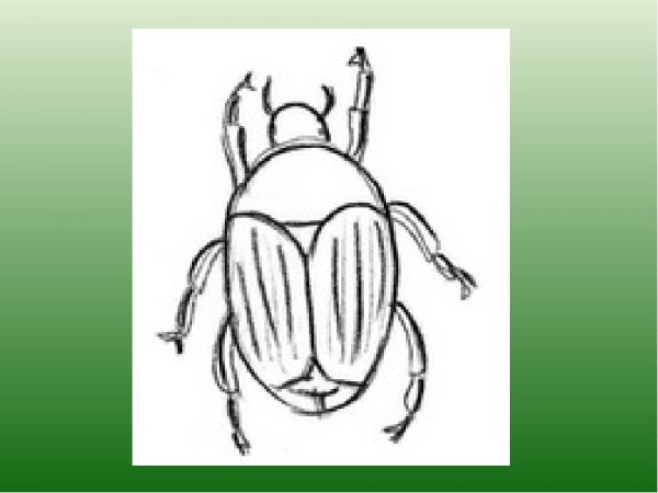 Пошагово Майский Жук