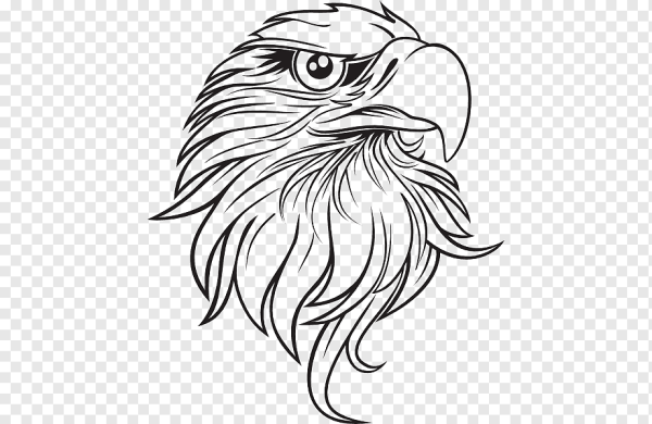 Голова орла эскиз