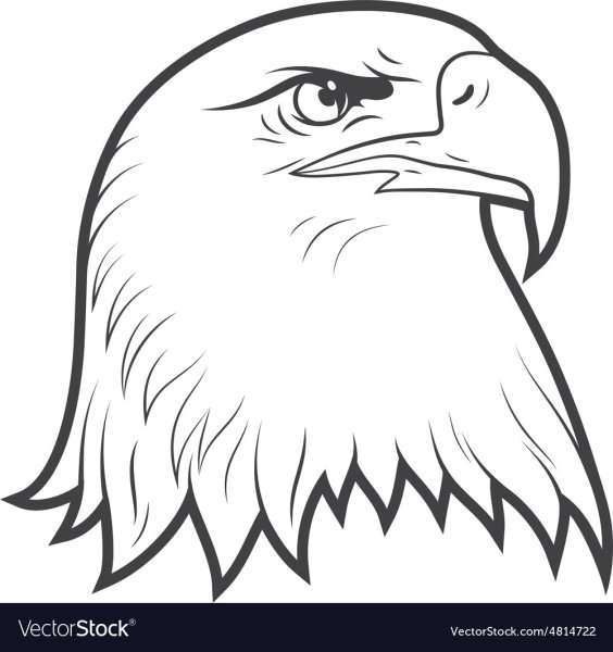 Орел карандашом