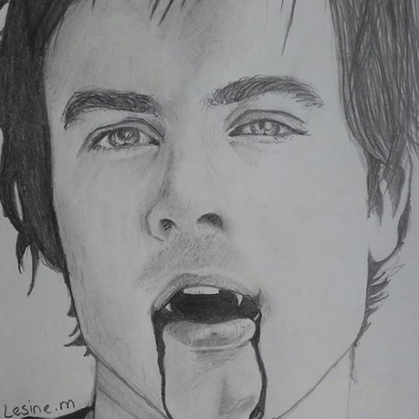 Деймон Сальваторе и Елена портрет