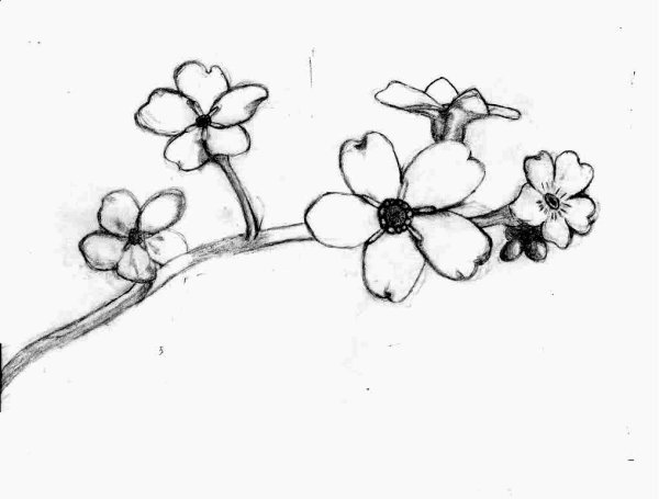 Цветы для рисования