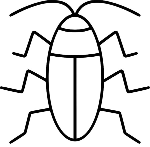 Таракан рисунок карандашом