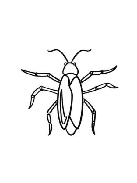 Мадагаскарский таракан нарисовать