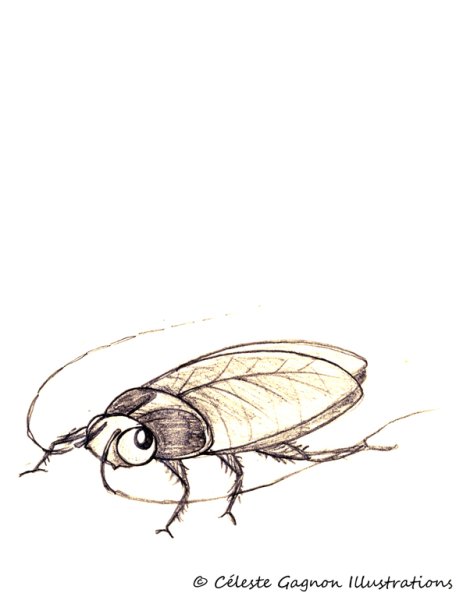 Тараканы зарисовки