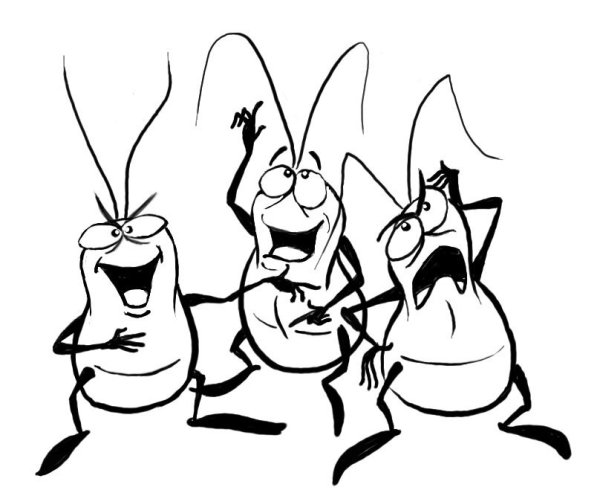 Раскраска без тараканов