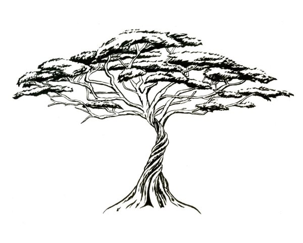 Нарисовать саванну карандашом