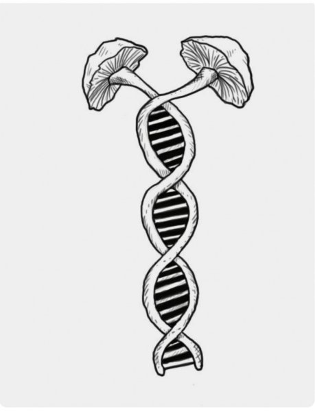 Тату грибы психоделика эскиз