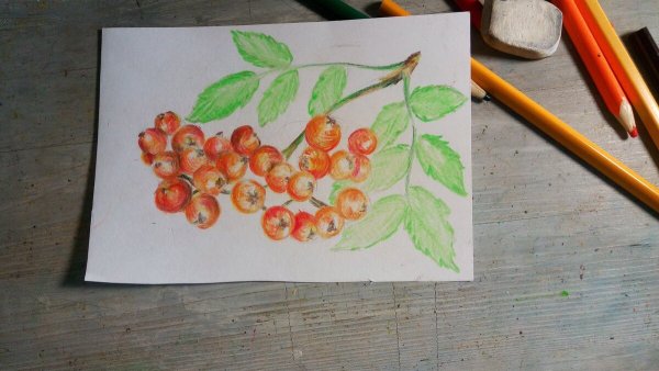 Ветка с ягодами рисование