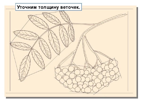 Рисуем кисть рябины