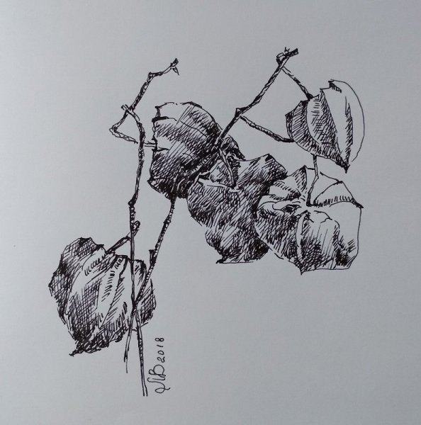 Зарисовки гелевой ручкой