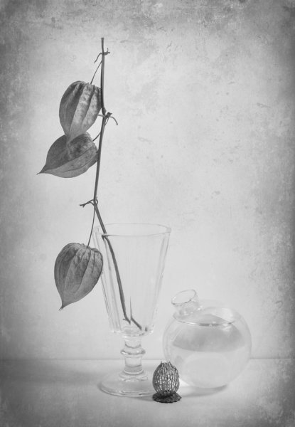 Хрупкость в натюрморте