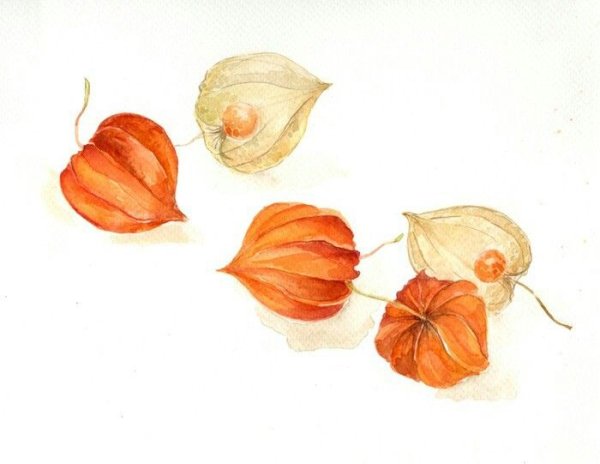 Восточная живопись физалис