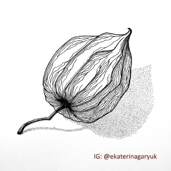 Физалис стилизация