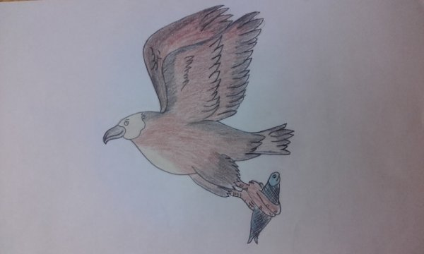 Орленок раскраска для детей