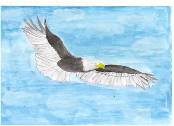 Орел рисунок