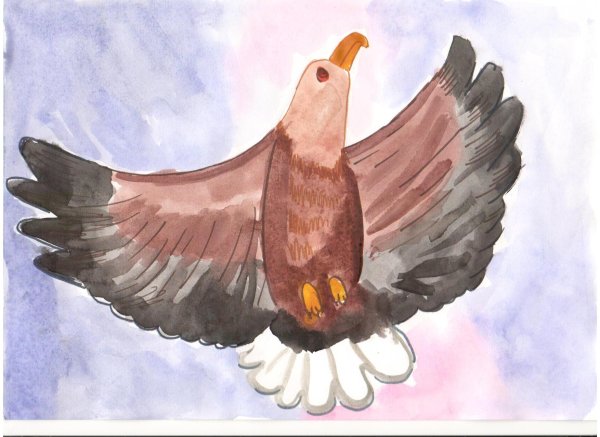 Рисунок орла с распахнутыми крыльями