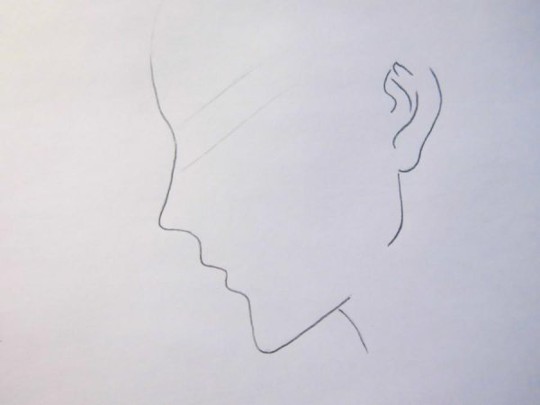 Профиль карандашом для начинающих