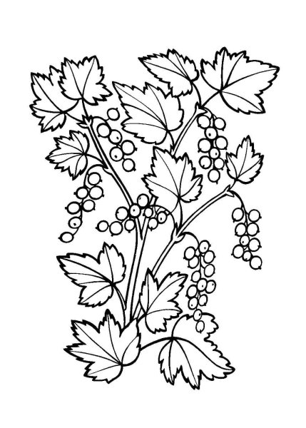 Поделка смородина для детей