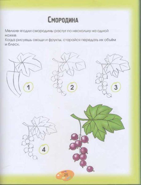 Ветка с ягодами рисование