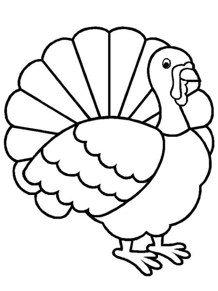 Turkey индюк for Kids