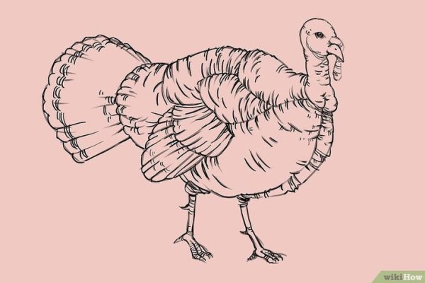 Индюк набросок