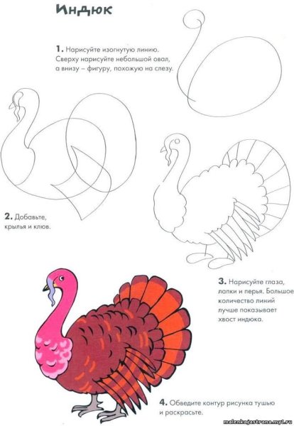Индюк индюшка и индюшата раскраска