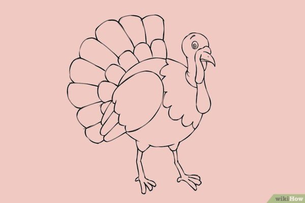 Индюк раскраска