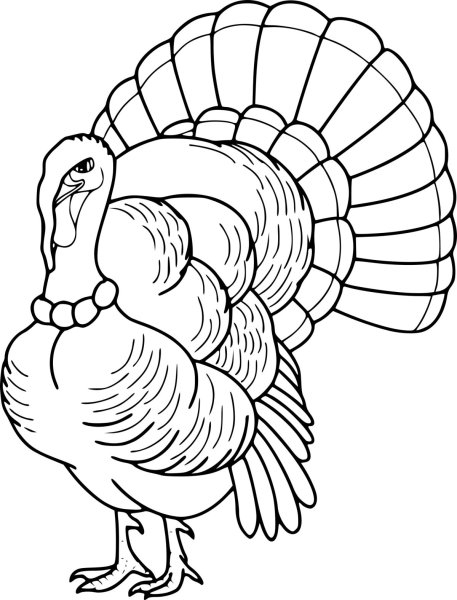 Индюк черно белый