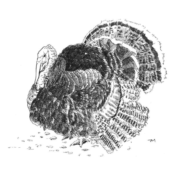 Индюк шаблон