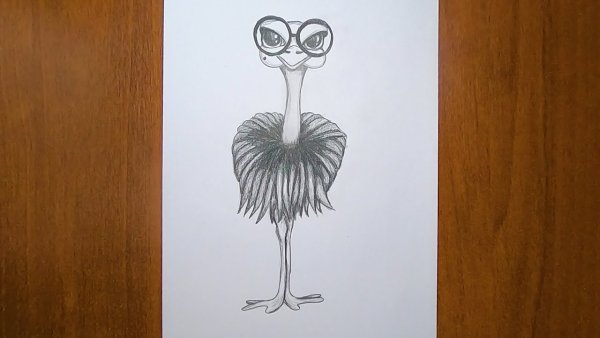 Рисование страус