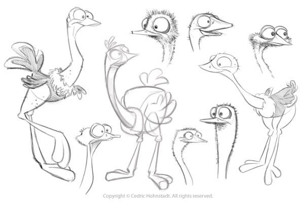 Страус раскраска для детей