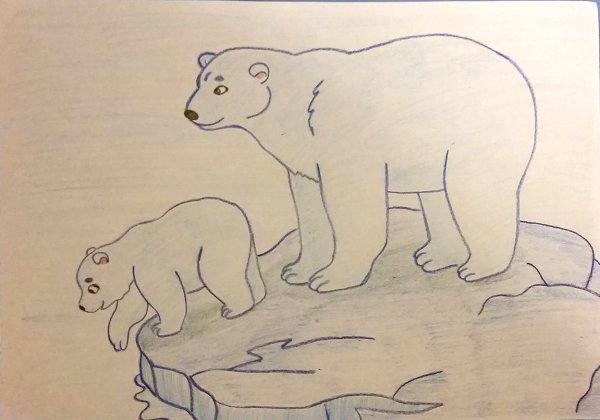 Рисование мишка на севере