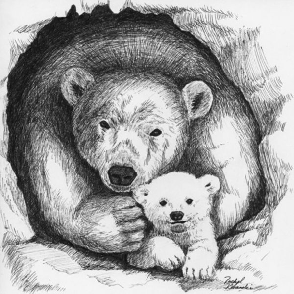 Раскраска животные севера