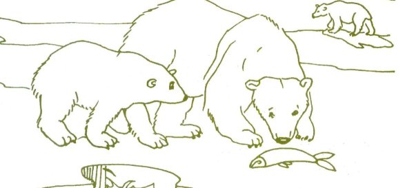 Медведица с медвежатами эскиз