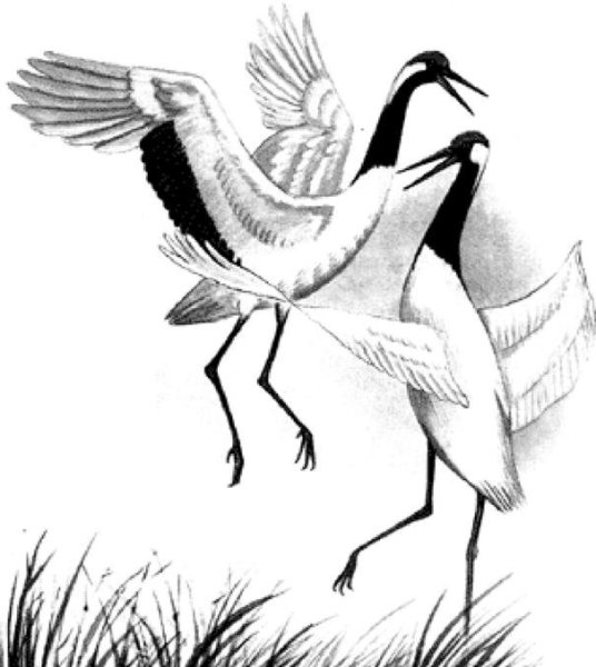 Цапля рисунок