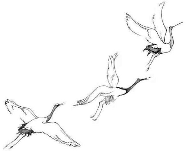 Журавль в полете рисунок