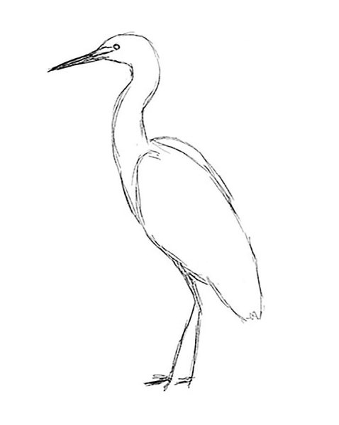 Журавль рисунок