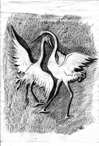 Журавль рисунок