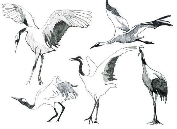 Детские рисунки журавлей