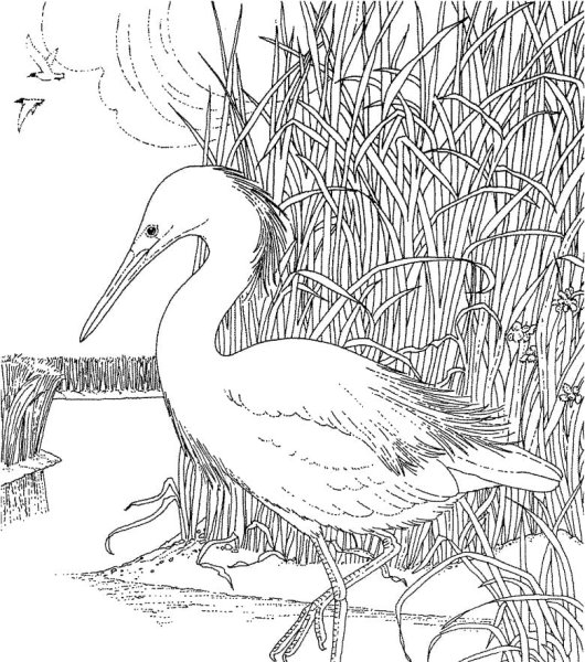 Журавль рисунок для детей