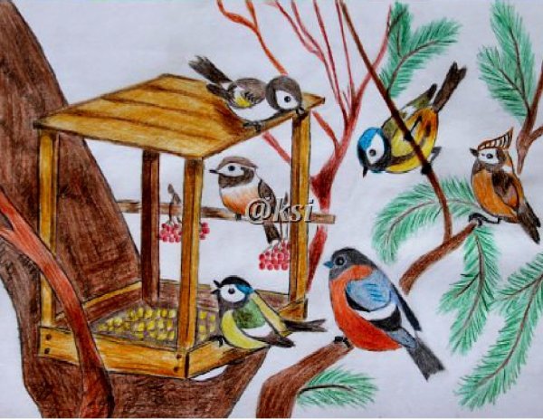 Кормушка для птиц раскраска для малышей