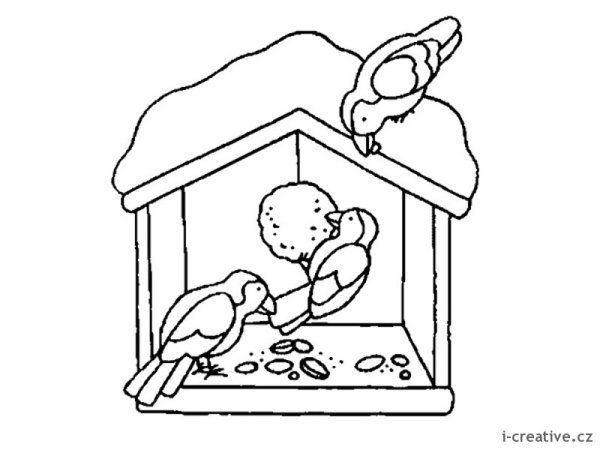 Птицы карандашом для срисовки