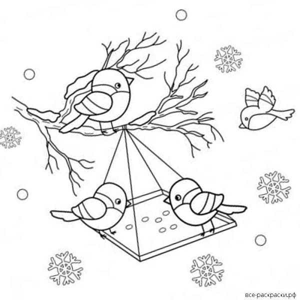 Снегирь раскраска